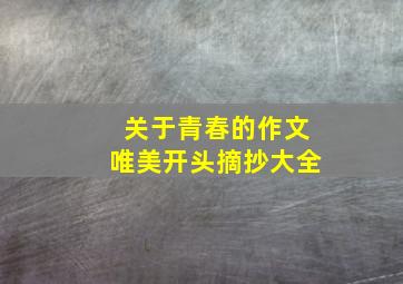 关于青春的作文唯美开头摘抄大全