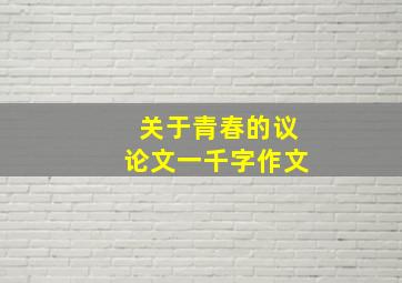 关于青春的议论文一千字作文