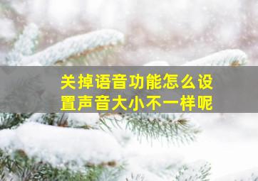 关掉语音功能怎么设置声音大小不一样呢