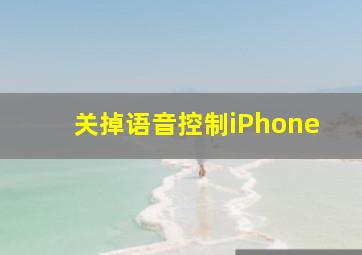 关掉语音控制iPhone