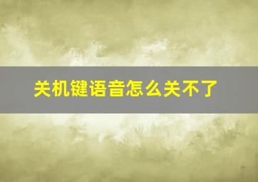 关机键语音怎么关不了