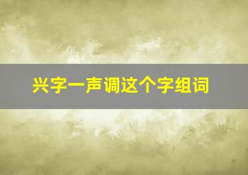 兴字一声调这个字组词