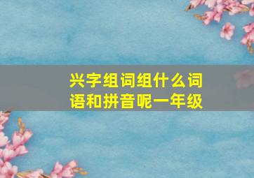 兴字组词组什么词语和拼音呢一年级