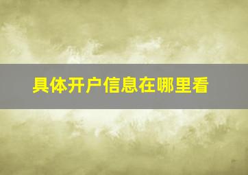 具体开户信息在哪里看