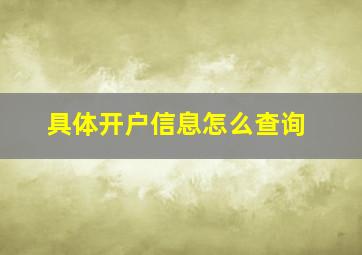 具体开户信息怎么查询