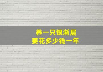 养一只银渐层要花多少钱一年