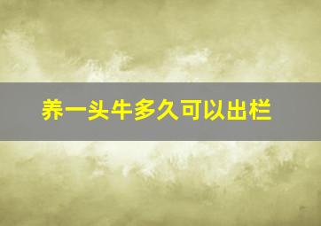 养一头牛多久可以出栏