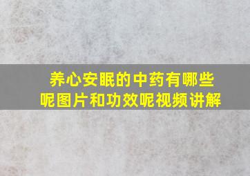 养心安眠的中药有哪些呢图片和功效呢视频讲解