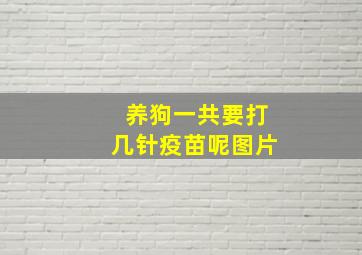 养狗一共要打几针疫苗呢图片