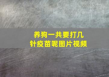 养狗一共要打几针疫苗呢图片视频