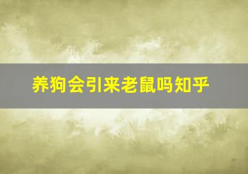 养狗会引来老鼠吗知乎