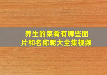 养生的菜肴有哪些图片和名称呢大全集视频