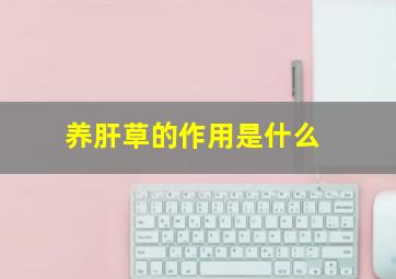 养肝草的作用是什么