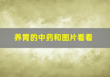 养胃的中药和图片看看