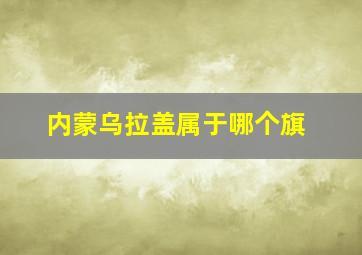 内蒙乌拉盖属于哪个旗