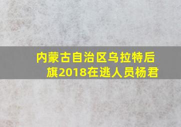 内蒙古自治区乌拉特后旗2018在逃人员杨君