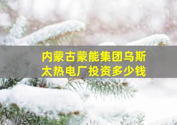 内蒙古蒙能集团乌斯太热电厂投资多少钱