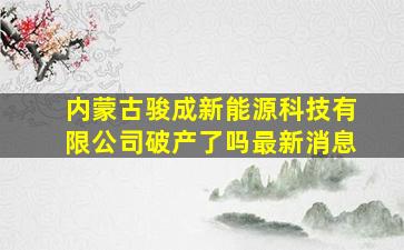 内蒙古骏成新能源科技有限公司破产了吗最新消息