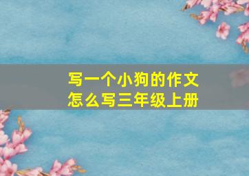 写一个小狗的作文怎么写三年级上册