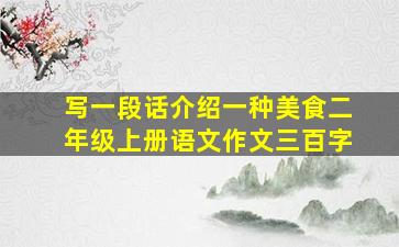 写一段话介绍一种美食二年级上册语文作文三百字