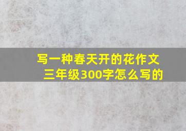 写一种春天开的花作文三年级300字怎么写的