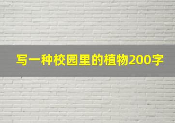 写一种校园里的植物200字