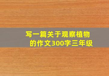 写一篇关于观察植物的作文300字三年级