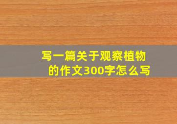 写一篇关于观察植物的作文300字怎么写