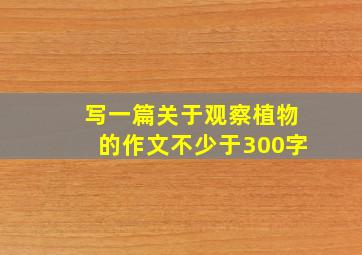 写一篇关于观察植物的作文不少于300字