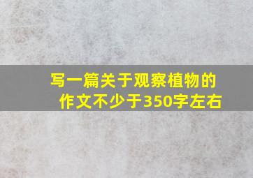 写一篇关于观察植物的作文不少于350字左右