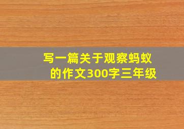 写一篇关于观察蚂蚁的作文300字三年级