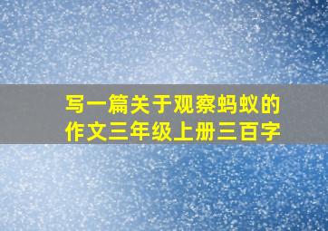 写一篇关于观察蚂蚁的作文三年级上册三百字