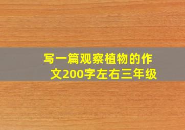 写一篇观察植物的作文200字左右三年级