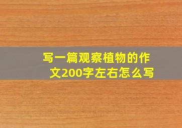 写一篇观察植物的作文200字左右怎么写