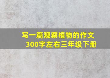 写一篇观察植物的作文300字左右三年级下册