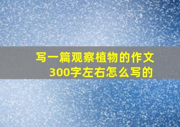 写一篇观察植物的作文300字左右怎么写的