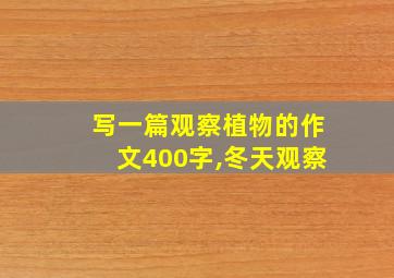 写一篇观察植物的作文400字,冬天观察