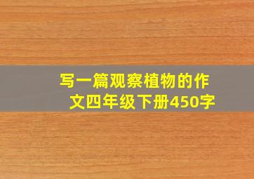 写一篇观察植物的作文四年级下册450字