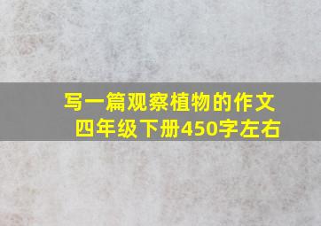 写一篇观察植物的作文四年级下册450字左右