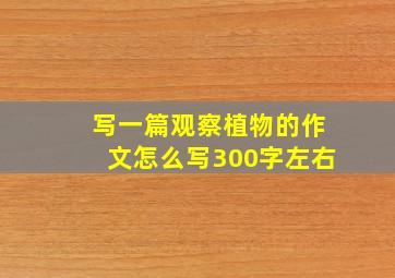 写一篇观察植物的作文怎么写300字左右