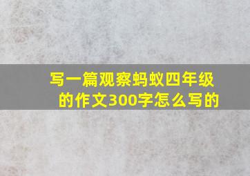 写一篇观察蚂蚁四年级的作文300字怎么写的