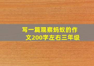 写一篇观察蚂蚁的作文200字左右三年级