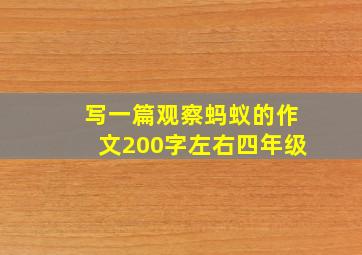 写一篇观察蚂蚁的作文200字左右四年级