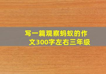 写一篇观察蚂蚁的作文300字左右三年级