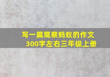 写一篇观察蚂蚁的作文300字左右三年级上册