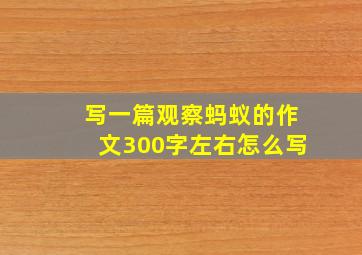 写一篇观察蚂蚁的作文300字左右怎么写