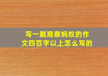 写一篇观察蚂蚁的作文四百字以上怎么写的