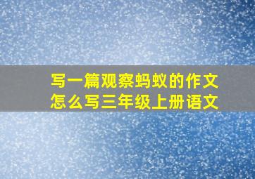 写一篇观察蚂蚁的作文怎么写三年级上册语文