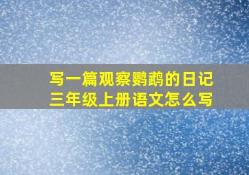 写一篇观察鹦鹉的日记三年级上册语文怎么写