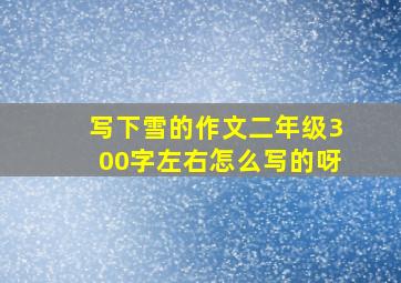 写下雪的作文二年级300字左右怎么写的呀